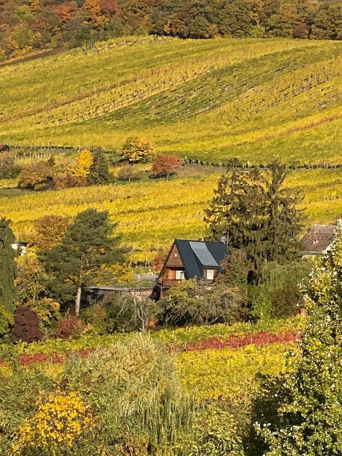 Ferienhaus Vacationhome In The Vineyards *