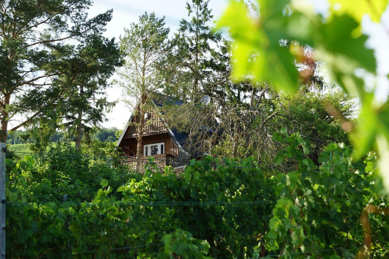 Vacationhome In The Vineyards Ferienhaus