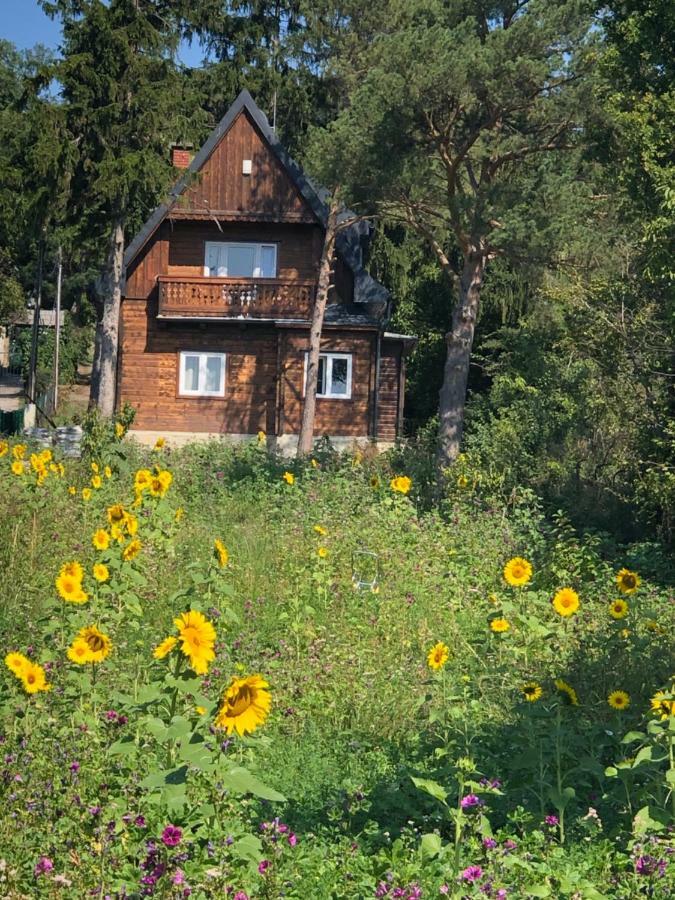 Vacationhome In The Vineyards * Viena